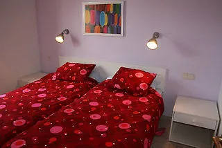 Palm Garden Bungalows 马斯帕洛马斯